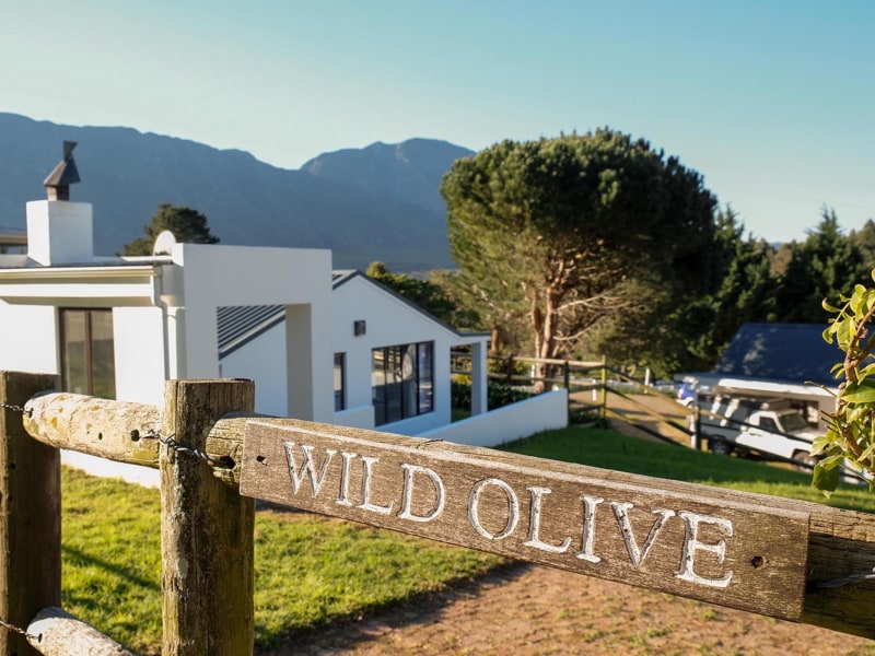 Wild Olive Cottage - Photo 2