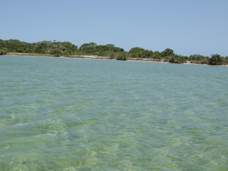 Injisuthi