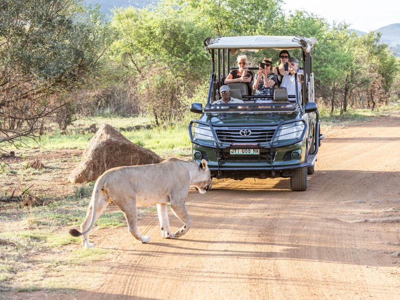 Ivory Tree Game Lodge
