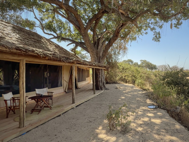 A luxury safari suite with a thatched roof and wooden deck under a large tree in a savanna setting.