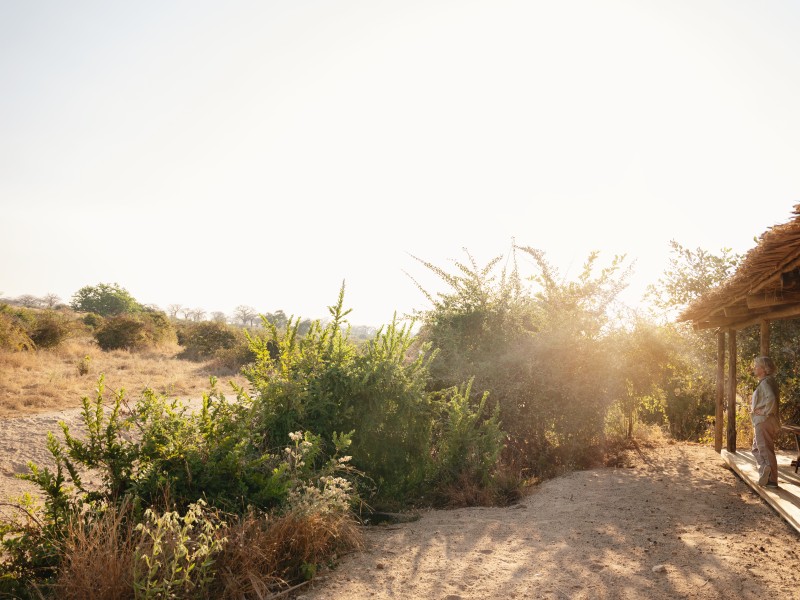 A person standing on a thatched lodge deck overlooking the African bushveld at sunrise.