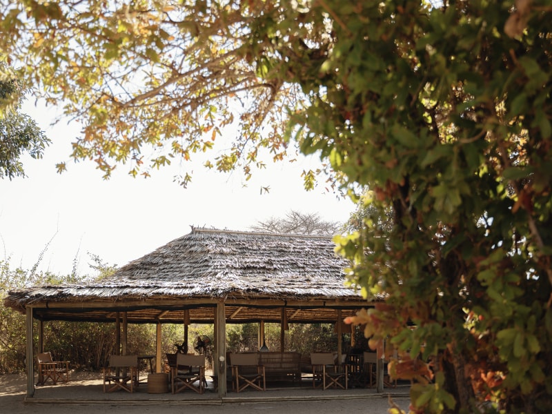 An open-sided safari lounge with a large thatched roof and canvas chairs nestled among trees.