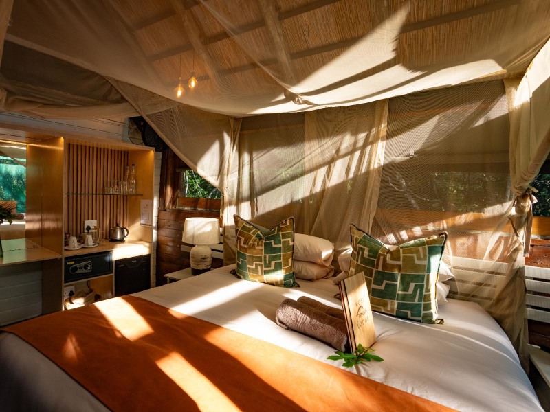 Forest Suite (Twin) - Photo 2