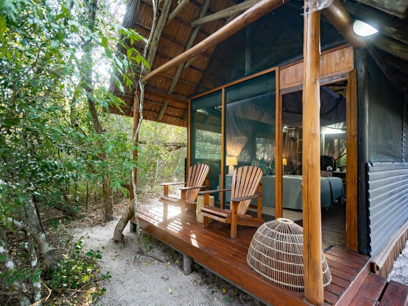 Forest Suite (Twin) - Photo 3