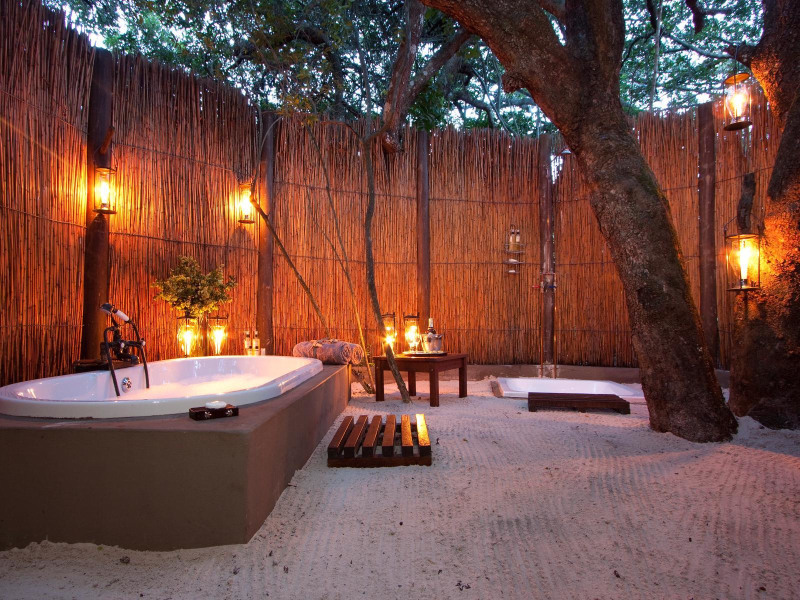 Forest Suite (Twin) - Photo 5