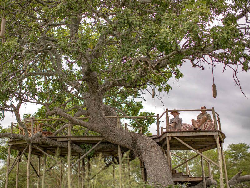 A wooden observation deck built into a large sausage tree where two people are seated and relaxing.