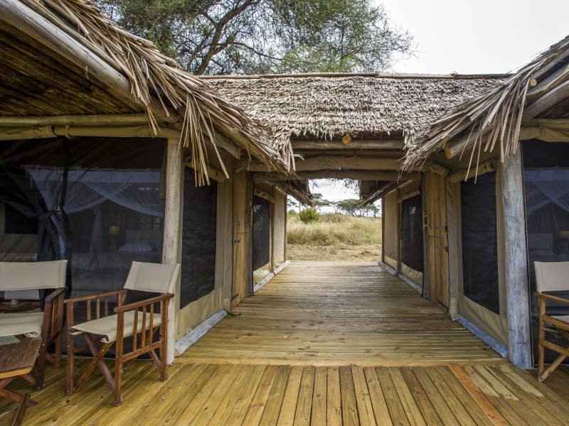 A wooden deck walkway between two thatched-roof safari tents overlooking an African savanna.