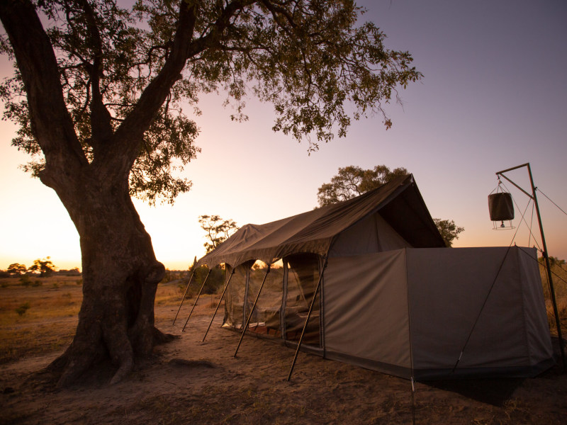 Kweene Trails, Okavango Delta