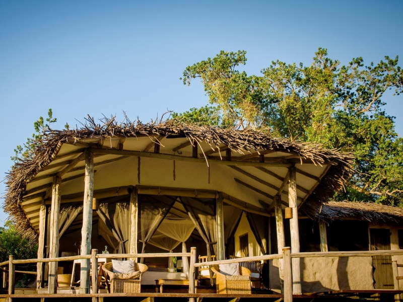 A luxury safari lodge with a large wooden deck and thatched roof set against a clear blue sky and green trees.