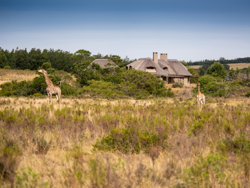 Lehele Lodge Villa at Gondwana Game Reserve