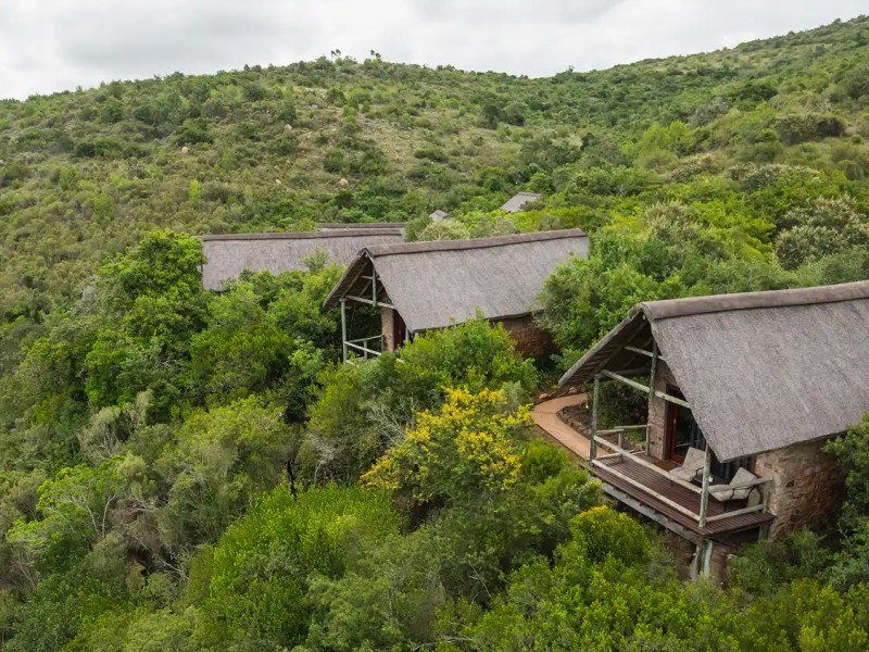 Lentaba Lodge at Lalibela Wildlife Reserve