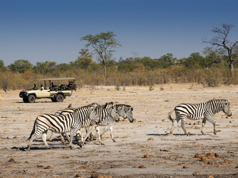 Linyanti Bush Camp