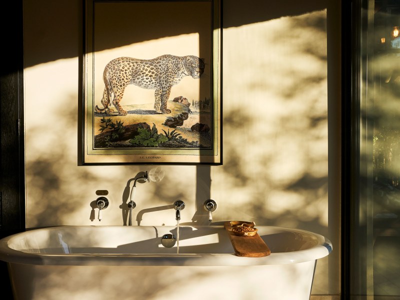 Freestanding bath in a Suite, Monwana Game Lodge