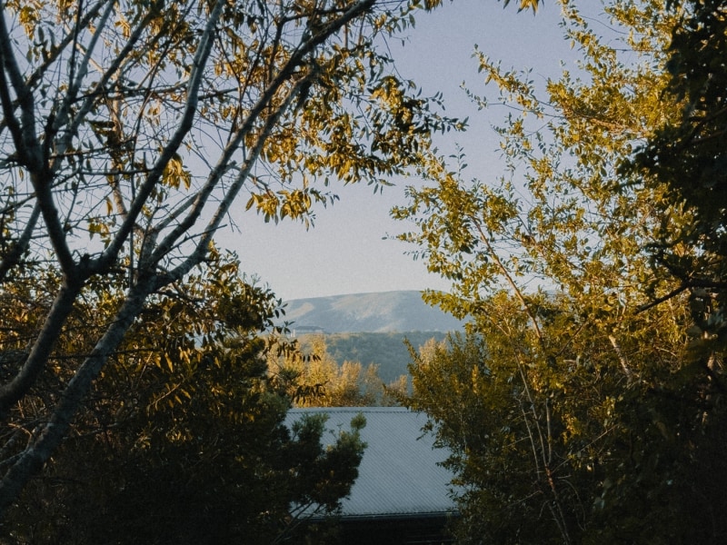 Sun Cabin - Photo 2