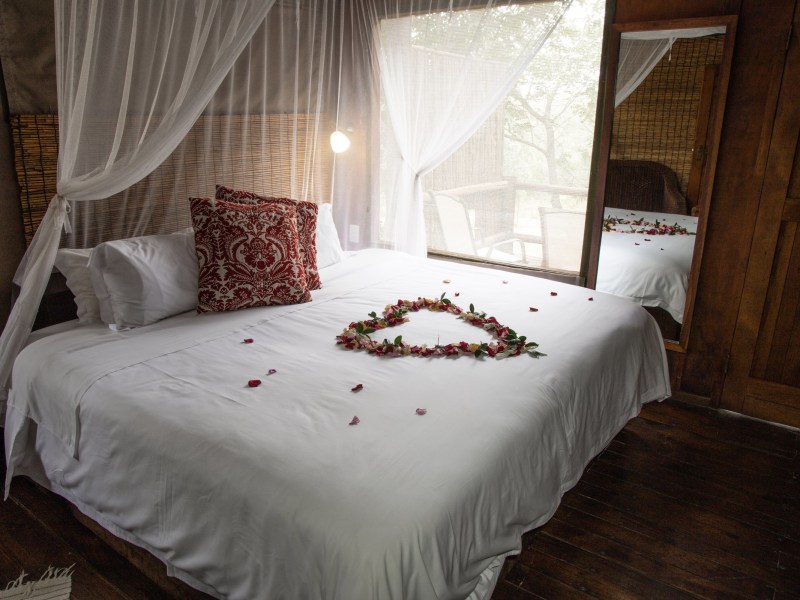 Canvas Suite at Nkambeni Safari Camp