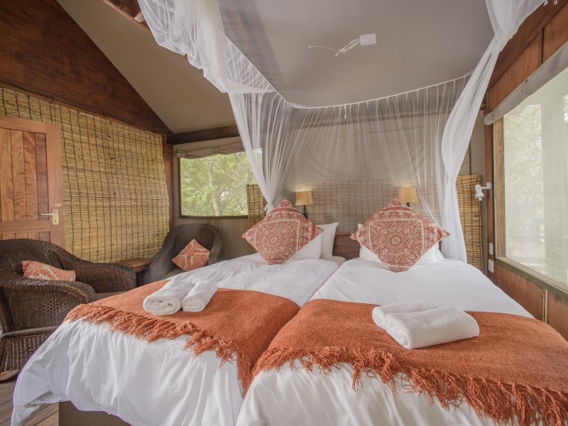 Canvas Suite at Nkambeni Safari Camp
