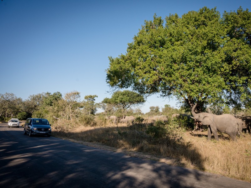 Nkuhlu Tented Camp