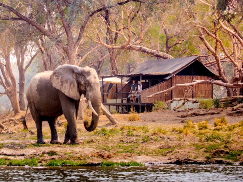 - photo credit Chiawa Safaris