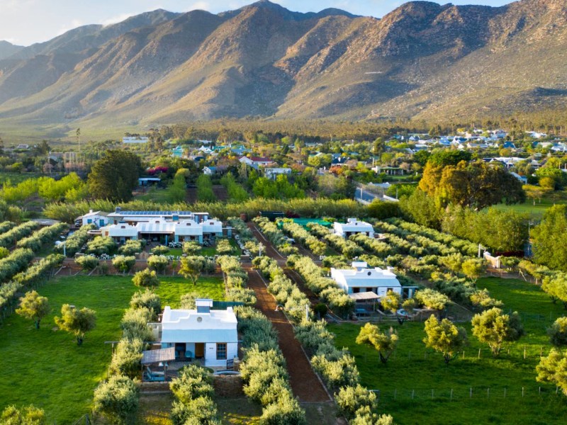 Olive Stone Farm and Cottages