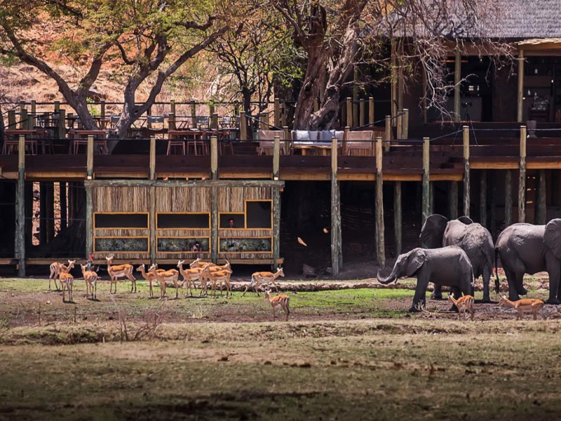 TheHide - photo credit Chiawa Safaris