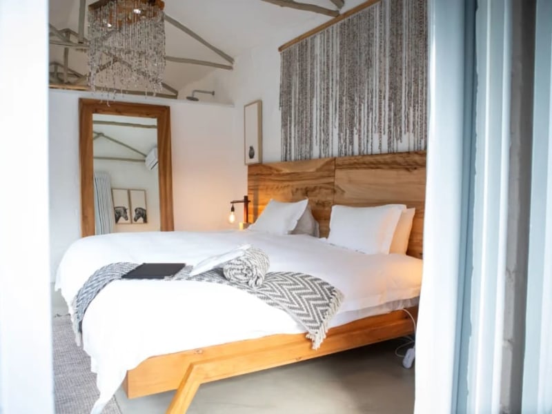Greenhouse Suite - Photo 2