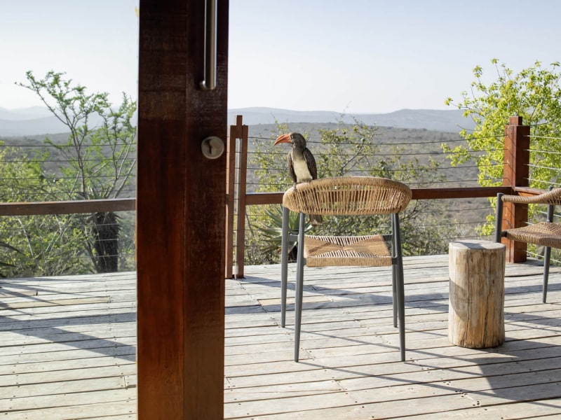 Rhino Ridge Safari Lodge — 810A2454