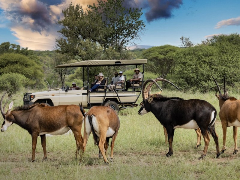 Sable Ranch - Thaba Khaya Lodge