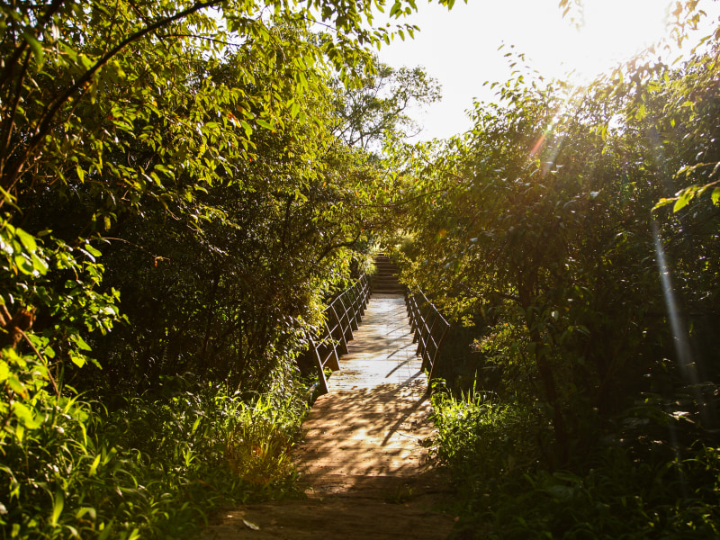 Bridge with a sunset view
