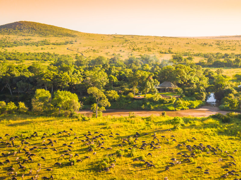 Sala's Camp aerial view of wildlife