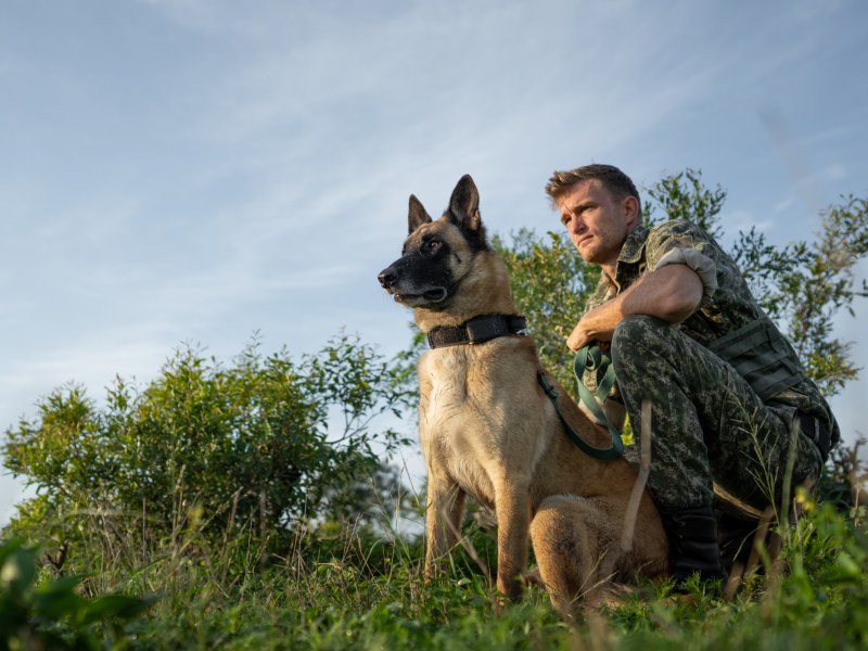 CONSERVATION K9 at Singita Boulders Lodge