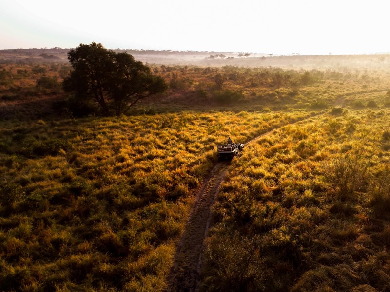 ACTIVITIES Game Drive Reserve at Singita Boulders Lodge
