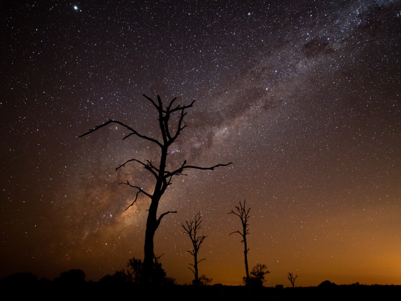 EXPERIENCE Stargazing at Singita Boulders Lodge