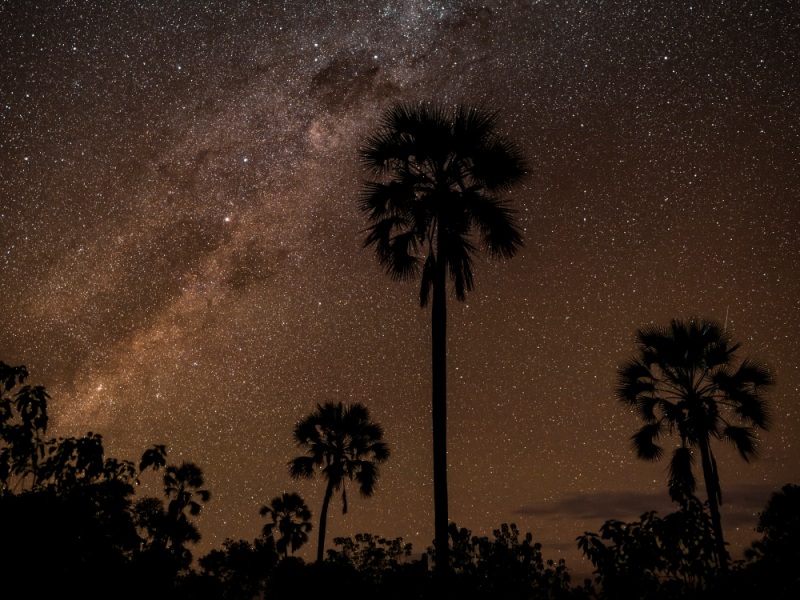 Okavango Delta Night Skies at Singita Elela