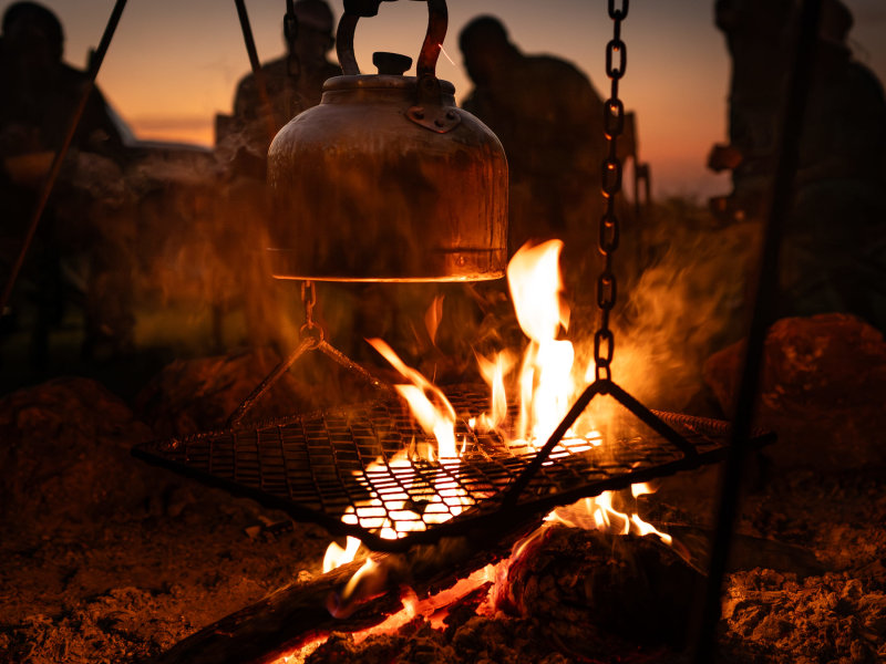 Explore Tented Camp_bird at Singita Explore