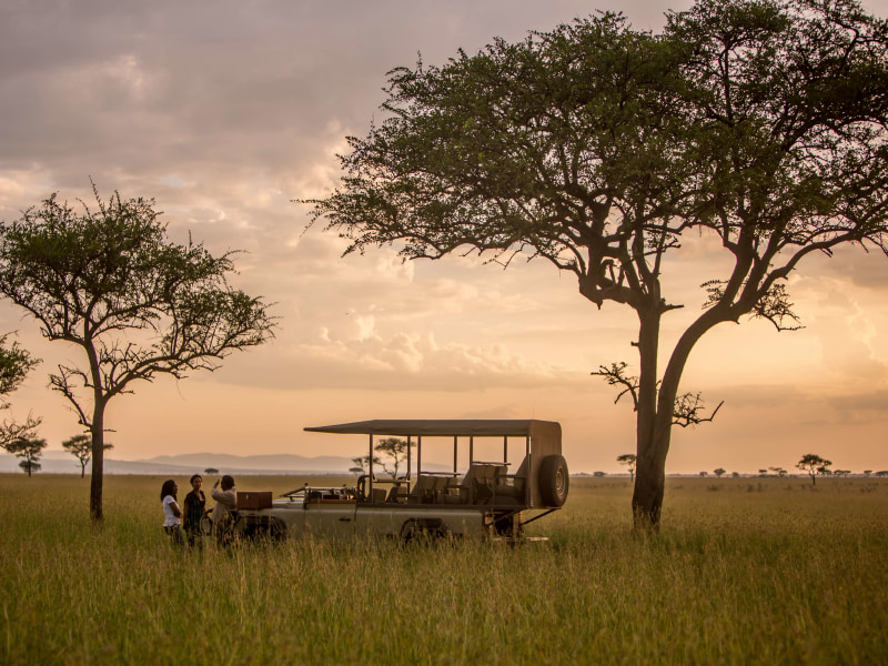 Singita Game Drive Sunset Grumeti at Singita Explore