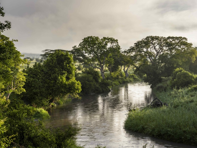 Faru Faru Lodge River View at Singita Faru Faru Lodge