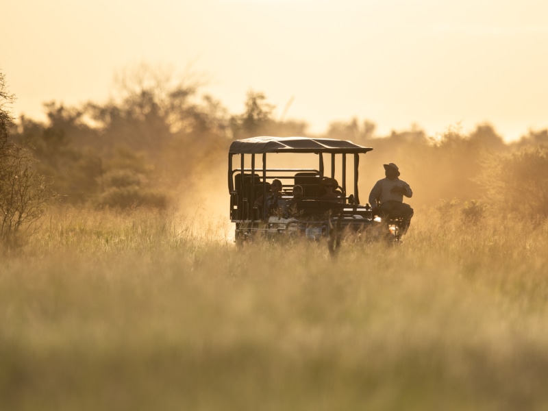 GAME DRIVE Brand Content Vehicle at Singita Lebombo Villa