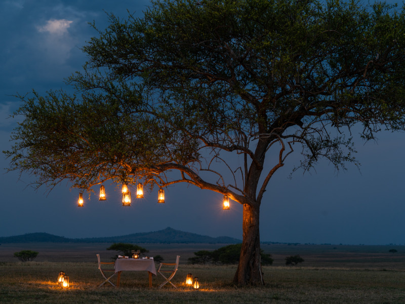 Sabora Evening Lanterns hanging from tree Osse Sinare at Singita Sabora Tented Camp