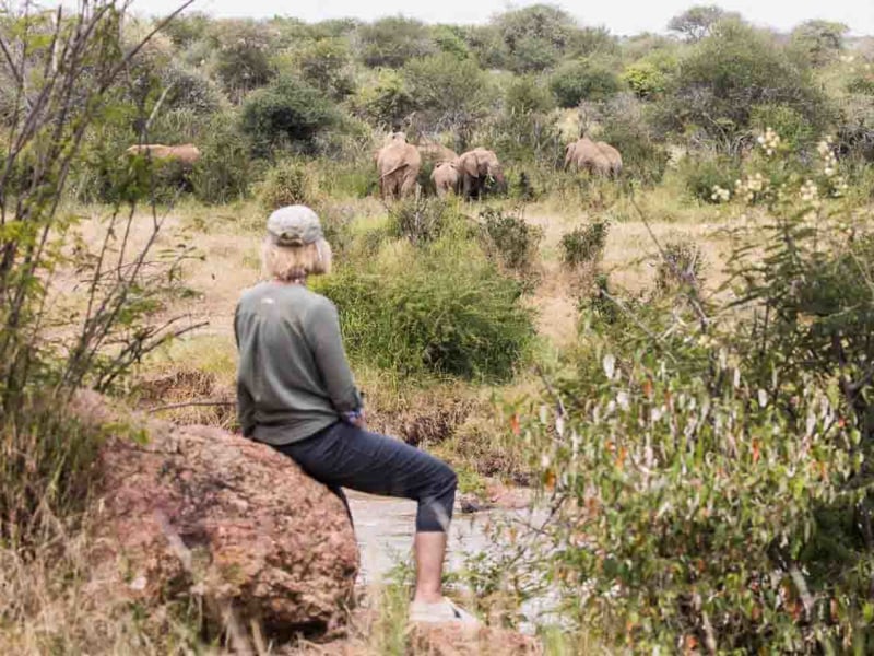 Game viewing by foot