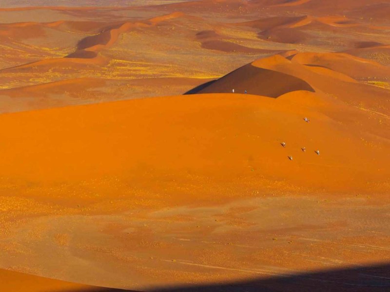 Sossus Dune Lodge
