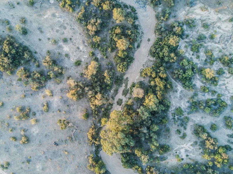 The Timbavati Private Nature Reserve, seen from Tanda Tula