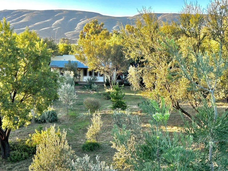 The Happy Place, Van Wyksdorp
