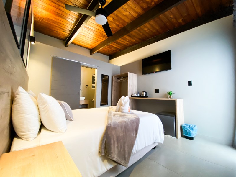 The Mole Guesthouse
