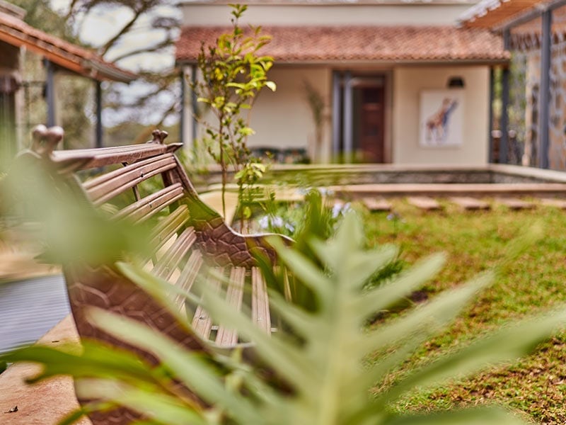 The Retreat at giraffe Manor Rooftop garden