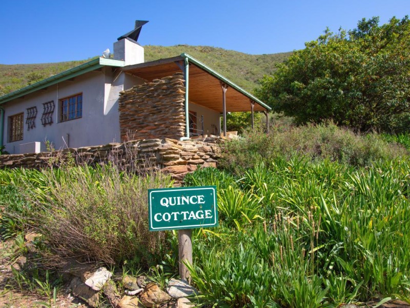 Quince Cottage - Foto 2