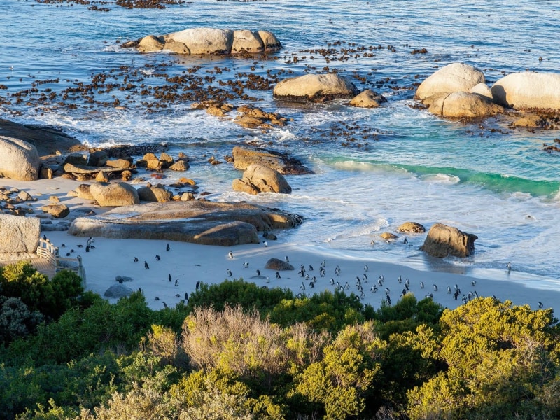Tintswalo Boulders