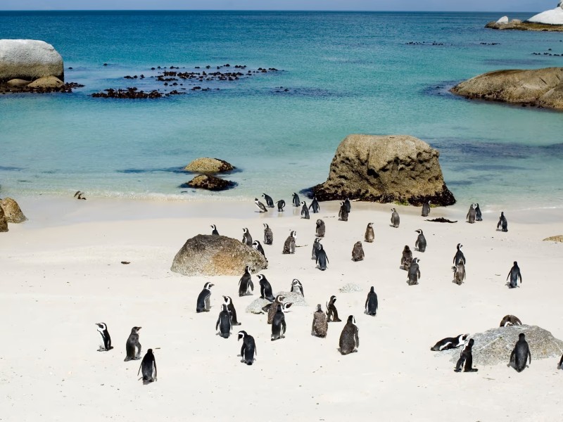 Tintswalo Boulders