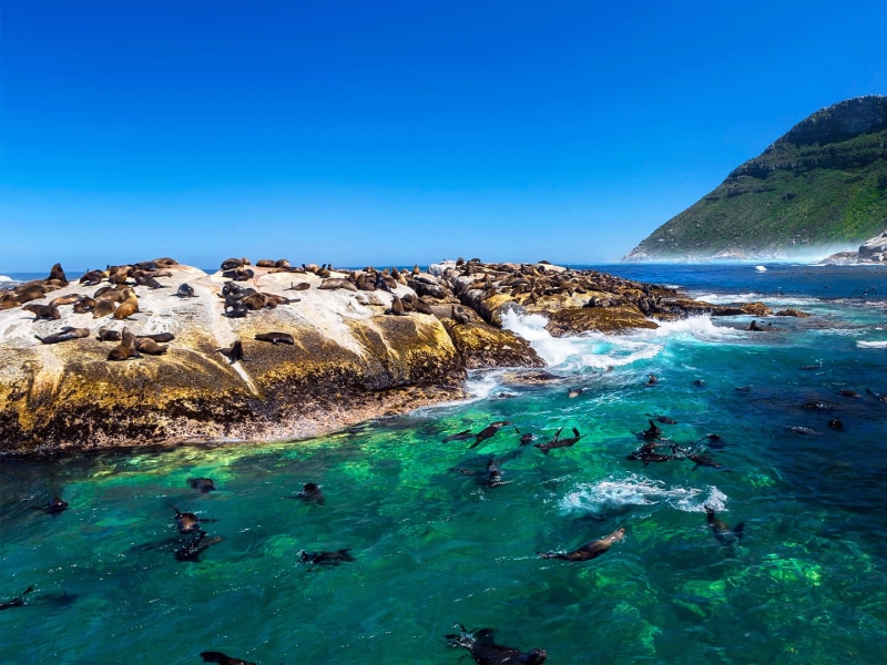 Tintswalo Atlantic
