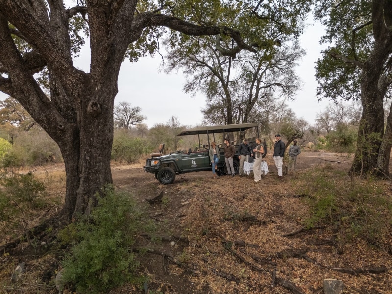Tintswalo Scops Rest