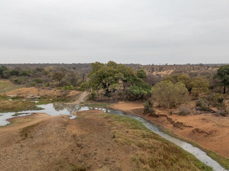 Tintswalo Scops Rest